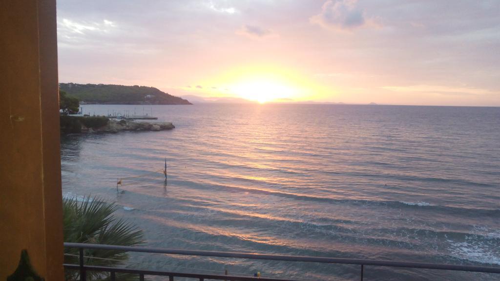 Oasis Hotel Theodoros & Litsa Galaris Agia Marina  외부 사진